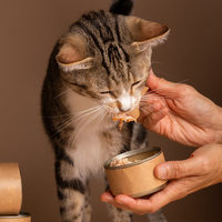 猫喂食要固定时间吗？